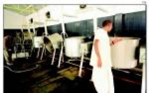 Why The Akshaya Patra Foundation is a Harvard Case Study