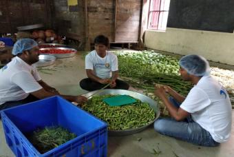  Large quantities of vegetables being cut
